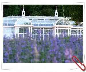 How To Style A Stunning Wedding In A Victorian Greenhouse